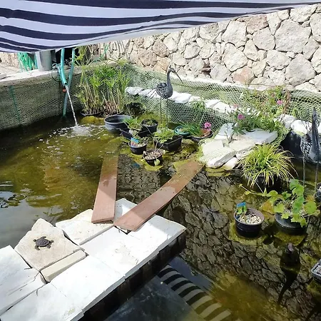 Apartment Palazzo Lemonia